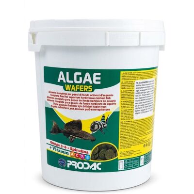 Prodac Algae Wafers 100 Gram - 1
