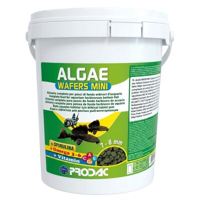 Prodac Algae Wafers Mini 100 Gram - 1