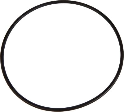 Sunsun HW-302 HW-402 Dış Filtre Kafa Contası - 1