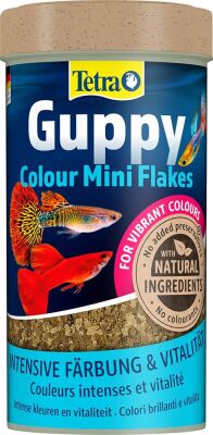 Tetra Guppy Colour Mini Flakes Pul Lepistes Yemi 100 ML - 1